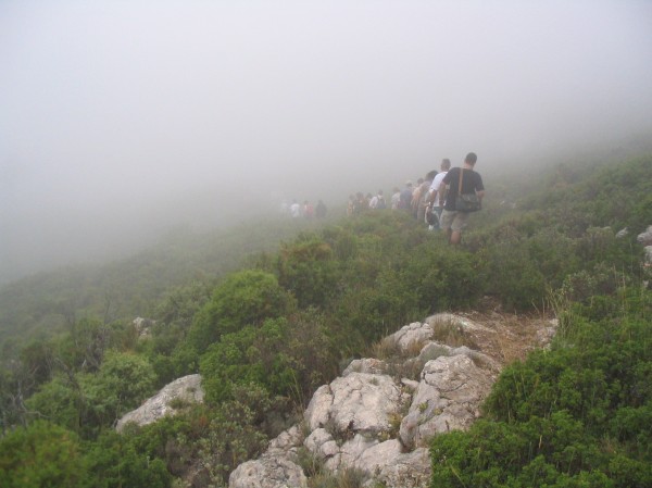 Pulsar para ver la imagen original