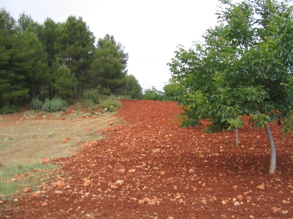 Pulsar para ver la imagen original