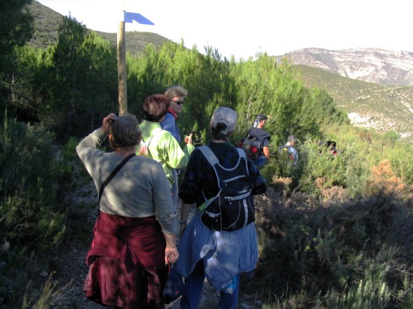 Pulsar para ver la imagen original