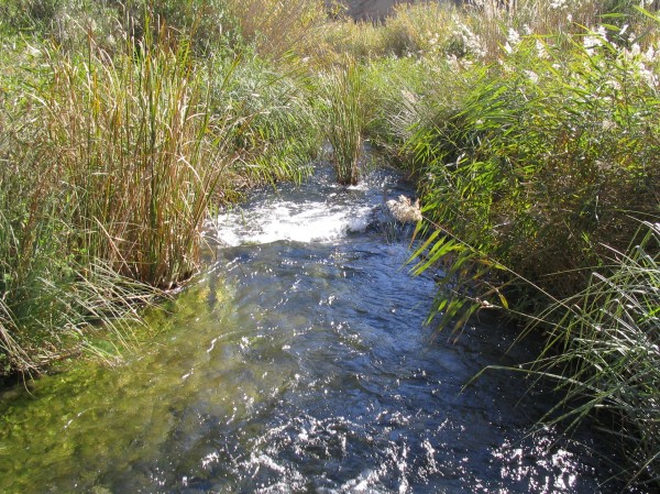 Pulsar para ver la imagen original
