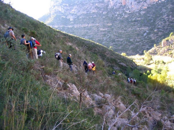 Pulsar para ver la imagen original