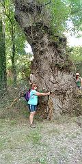 IMG-20190630-WA0048