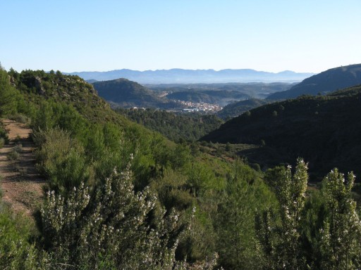 Pulsar para ver la imagen original